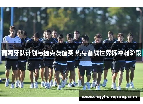 葡萄牙队计划与捷克友谊赛 热身备战世界杯冲刺阶段