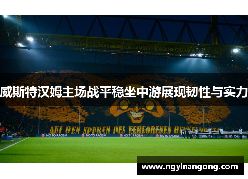 威斯特汉姆主场战平稳坐中游展现韧性与实力
