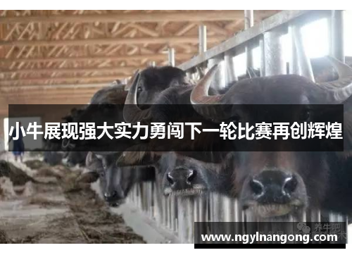 小牛展现强大实力勇闯下一轮比赛再创辉煌