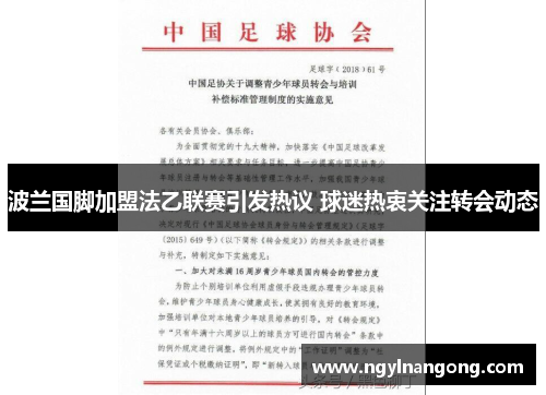 波兰国脚加盟法乙联赛引发热议 球迷热衷关注转会动态