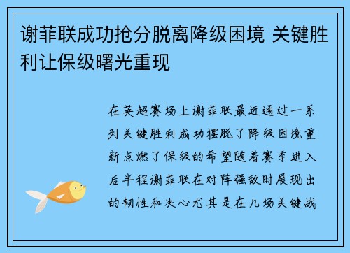 谢菲联成功抢分脱离降级困境 关键胜利让保级曙光重现