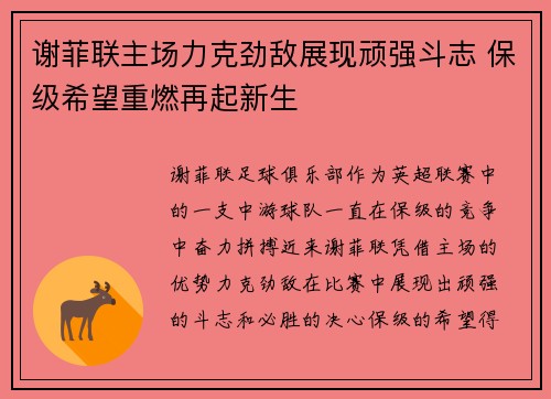 谢菲联主场力克劲敌展现顽强斗志 保级希望重燃再起新生
