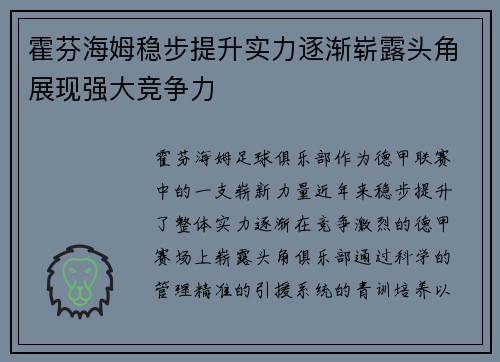 霍芬海姆稳步提升实力逐渐崭露头角展现强大竞争力